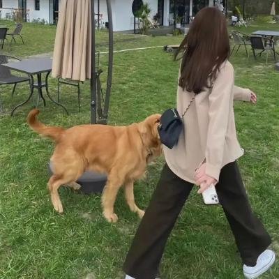 奇换之旅美梦成真