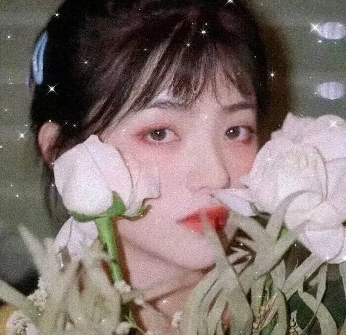 劳拉的星星在中国